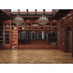 Гардеробная Даная 