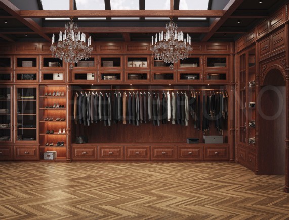 Гардеробная Даная