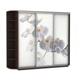 Шкаф-купе Трио В с фотопечатью «Орхидея» и боковым терминалом 2400