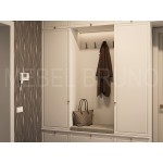 Шкаф в прихожую Анабел