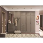 Шкаф в прихожую Демерг