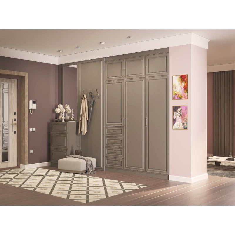 Шкаф в прихожую Демерг