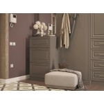 Шкаф в прихожую Демерг