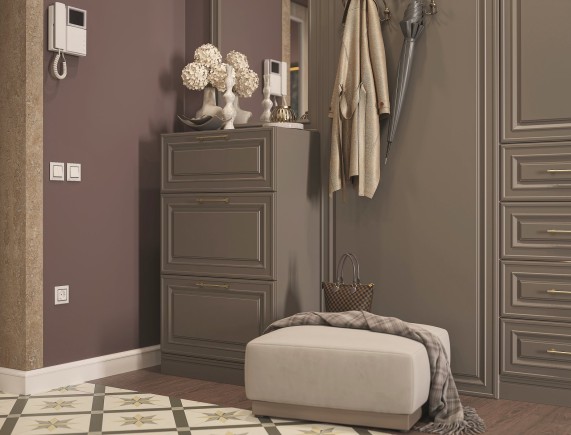 Прихожая Демерг