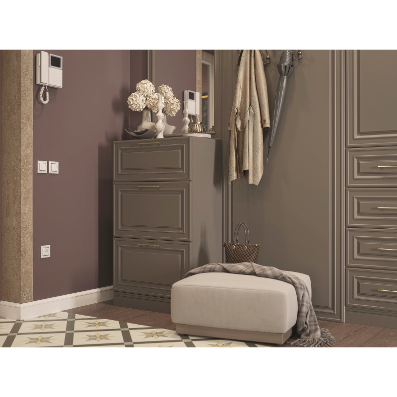 Шкаф в прихожую Демерг