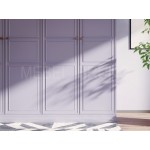 Шкаф в прихожую Интел