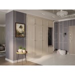 Шкаф в прихожую Шонде