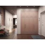 Шкаф в прихожую Танзан