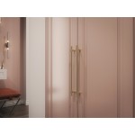 Шкаф в прихожую Танзан