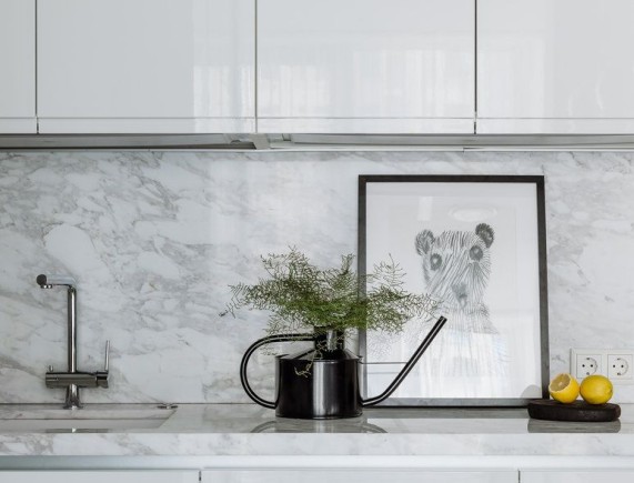 Кухня Сенецио