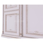 Шкаф-купе Аранико