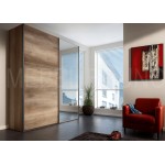 Шкаф-купе Мэгис  