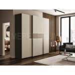 Шкаф-купе Аликонте 