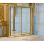 Шкаф-купе Озон