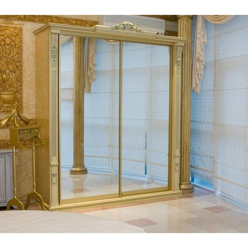 Шкаф-купе Озон