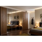 Шкаф-купе Стронг 