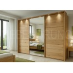 Шкаф-купе Соната 