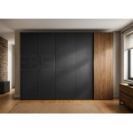 Шкаф-купе Самба 