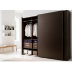 Шкаф-купе Дели 