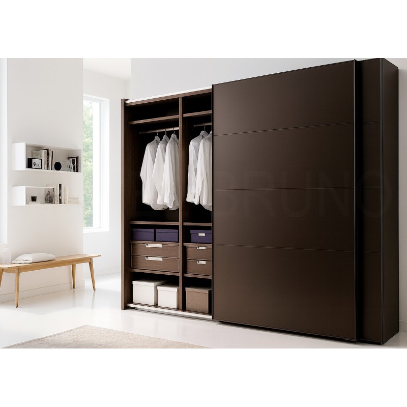 Шкаф-купе Дели 