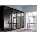 Шкаф-купе Литл