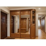 Шкаф-купе Визит 