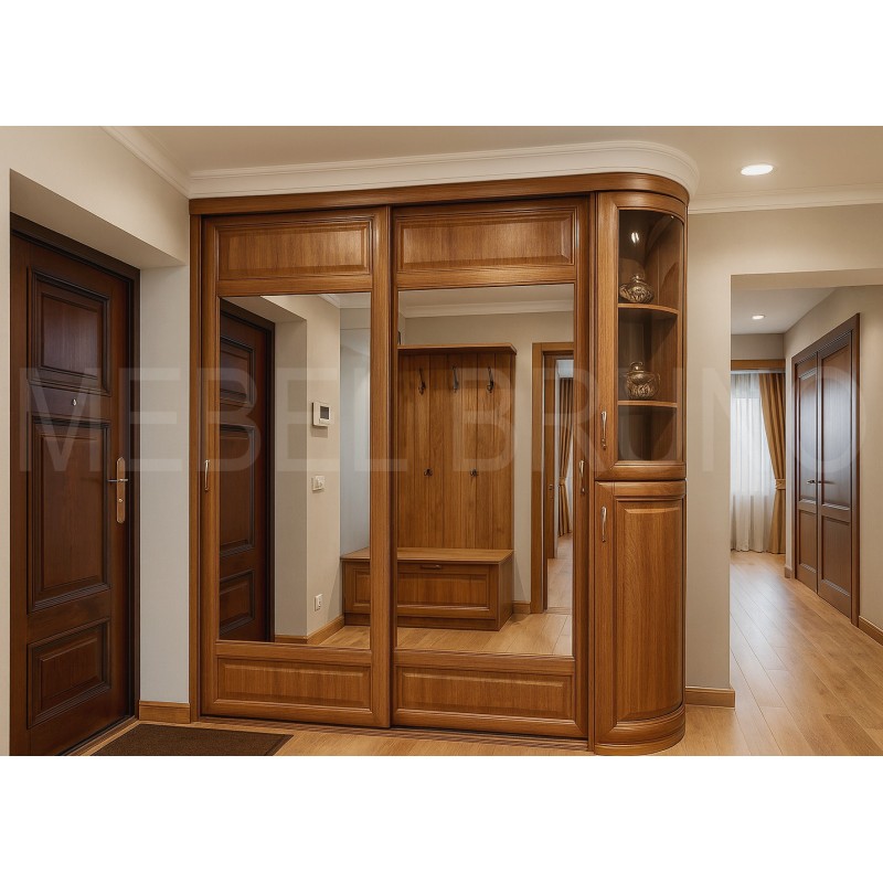 Шкаф-купе Визит 