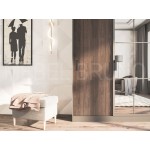 Шкаф-купе Амбре 