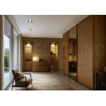 Шкаф-купе Теамо 