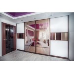 Шкаф-купе Авеню 