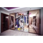 Шкаф-купе Авеню 